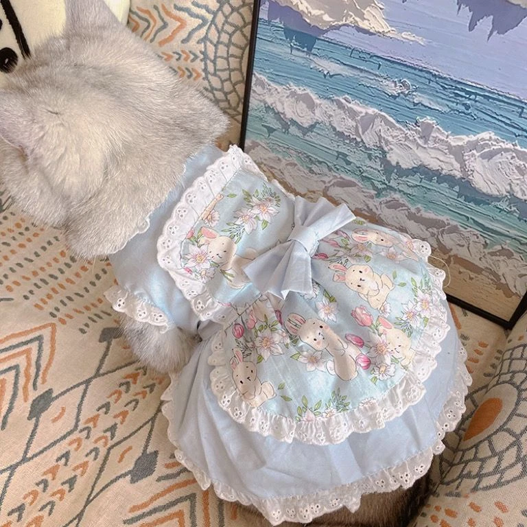 Pet Cute Apron Dress Lace Flor - Lace Teddy Lingerie ulasan dan harga